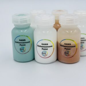 GANS Paint Enhancement
